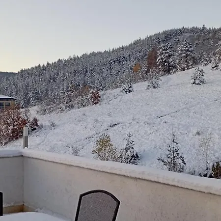 Апартаменты Bellavista *